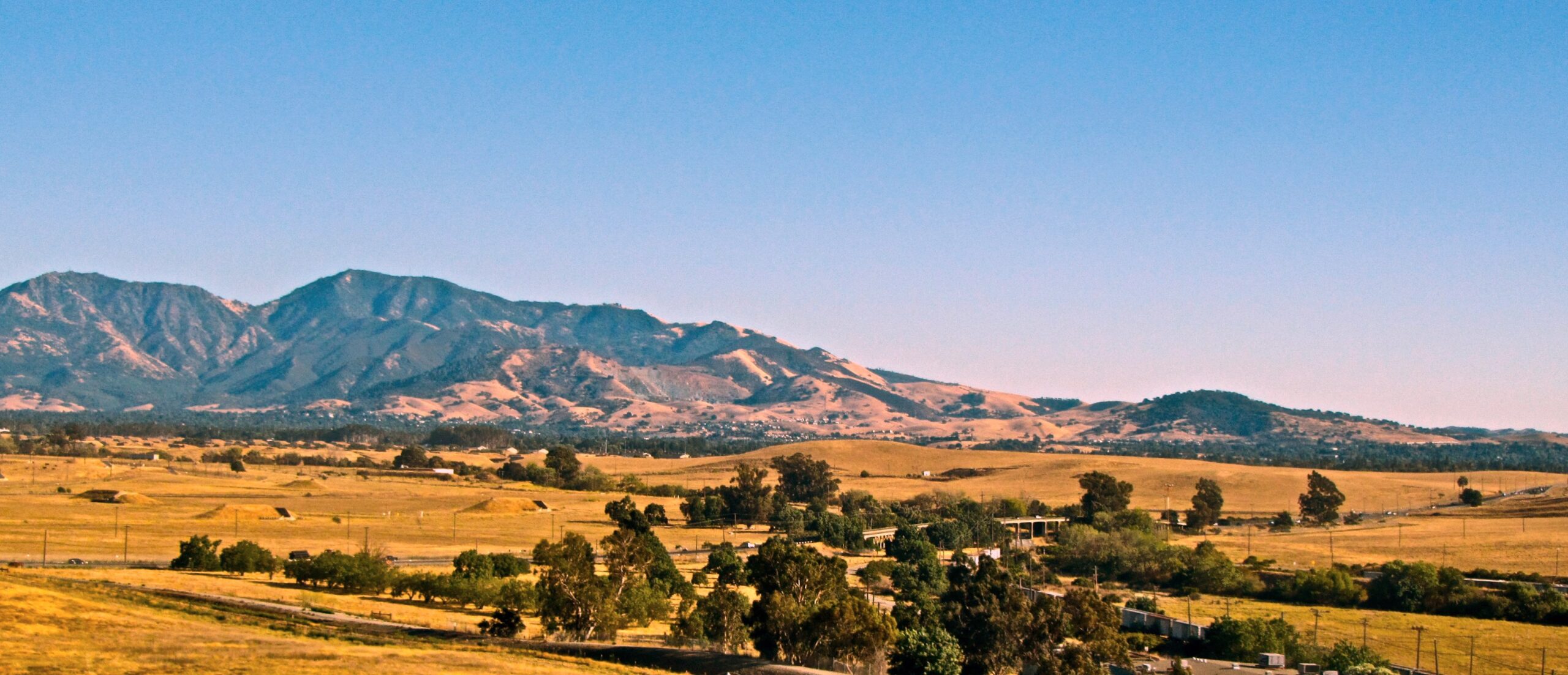 Rolling golden hills and scattered trees lead to a distant mountain range under a clear blue