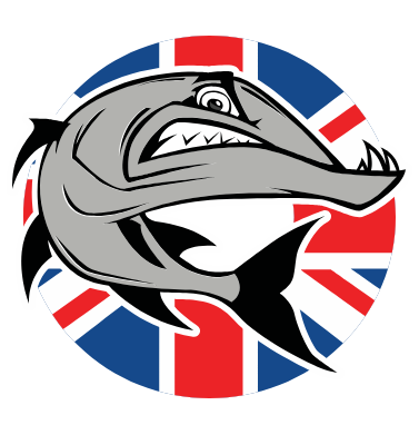British Swim School Swim Team - Barracudas