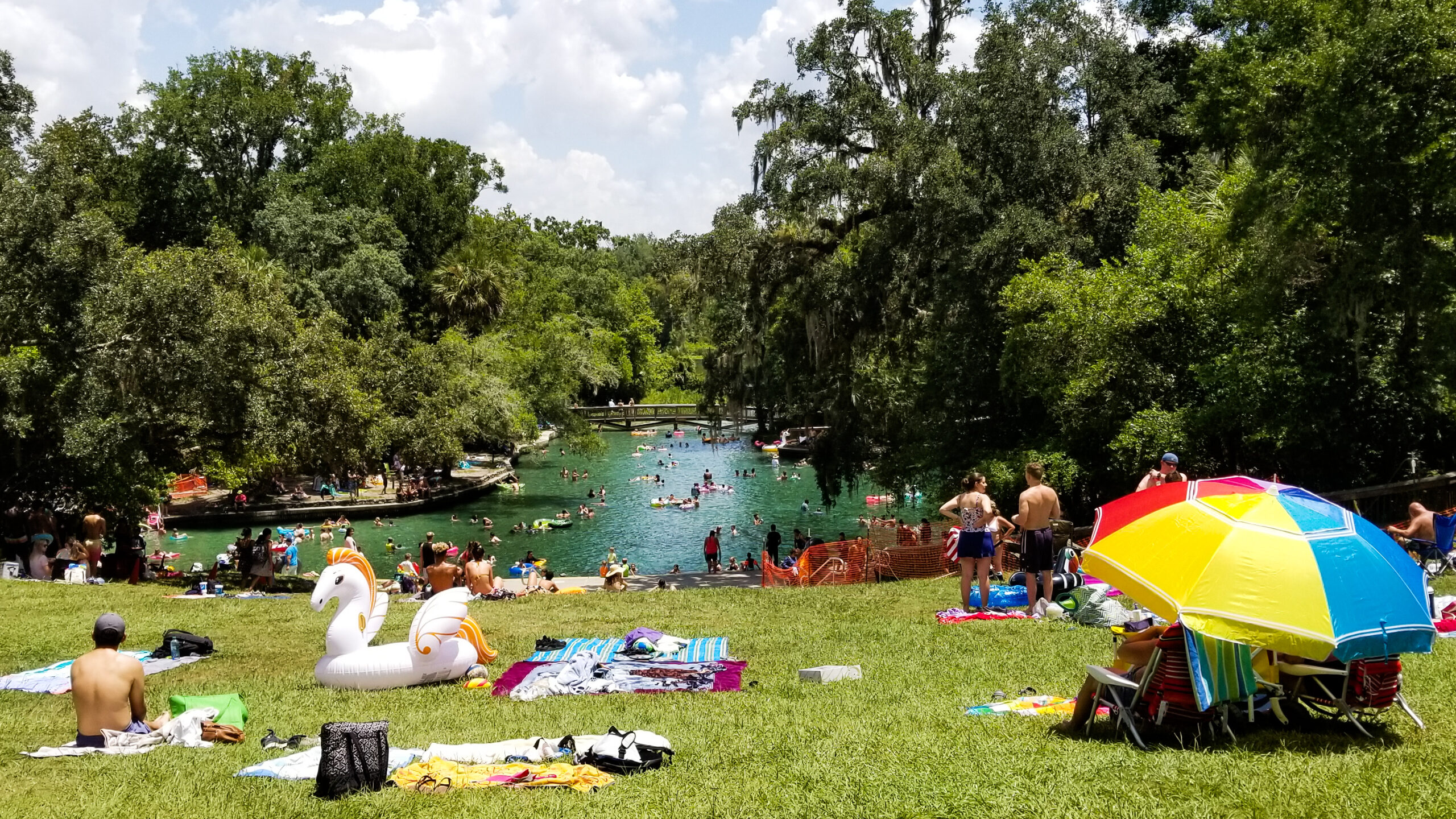 A bustling Wekiwa Springs State Park near Apopka, Florida, featuring a lively spring with turquoise water, surrounding lush forest, a quaint wooden footbridge, and many people swimming and sunbathing, including people under a colorful umbrella and near a unique unicorn float on the foreground hill. British Swim School offers year-round, indoor swim lessons for the Orange County community and surrounding Apopka, Altamonte Springs, Ocoee, and Longwood neighborhoods.